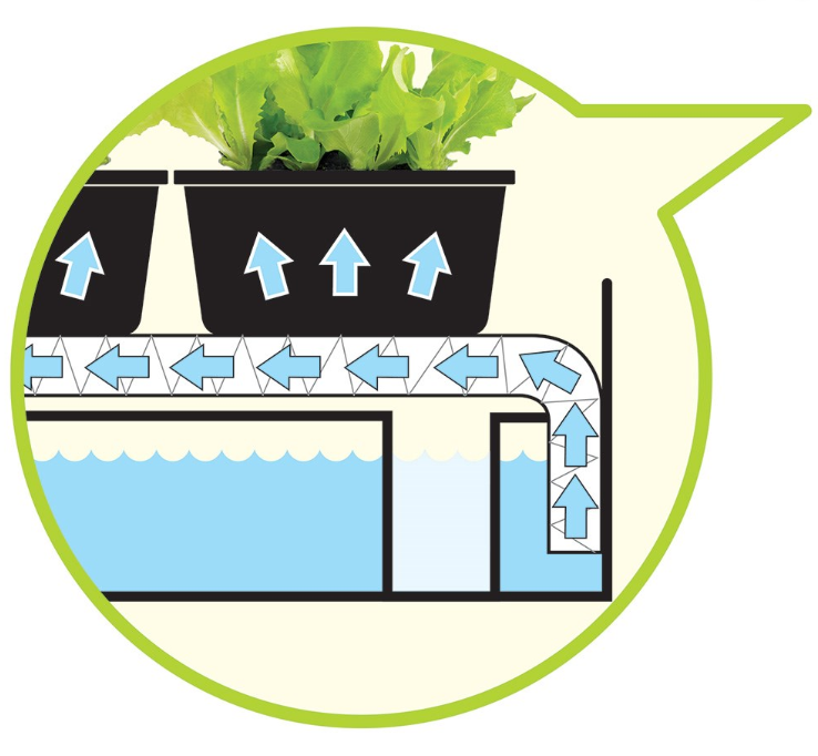Garland Grow Light Garden Black 32W - set for growing herbs 62x40x47cm
