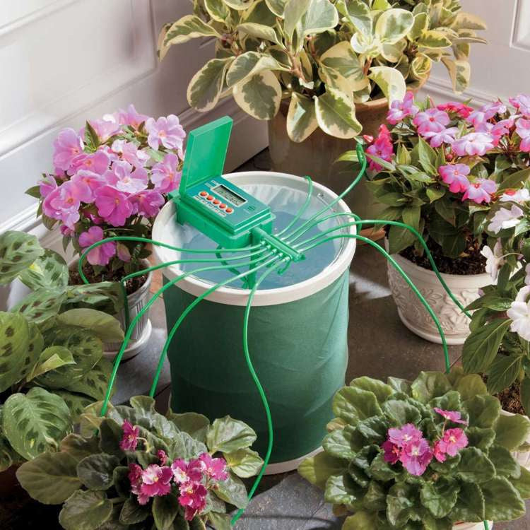 Irrigation system with pump and timer for up to 10 Wassertech plants