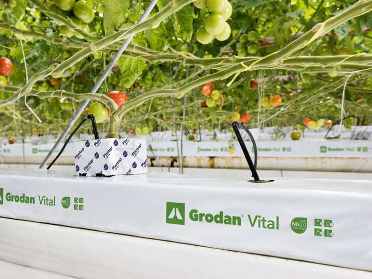 Mineral wool mat Vital-Expert - growing medium 1m Grodan wool
