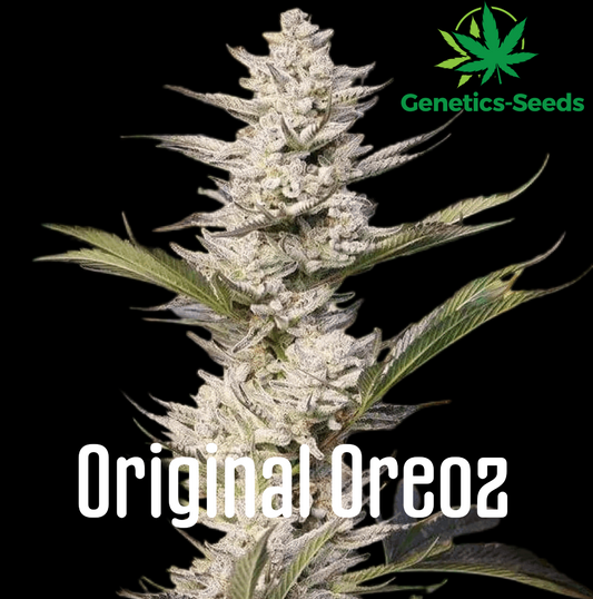 Original Oreoz
