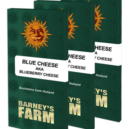 Blue Cheese