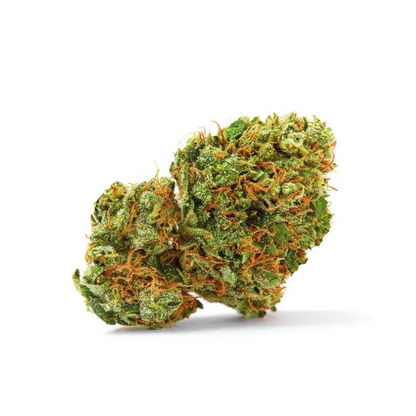 Grapefruit x Bubblegum Triploide