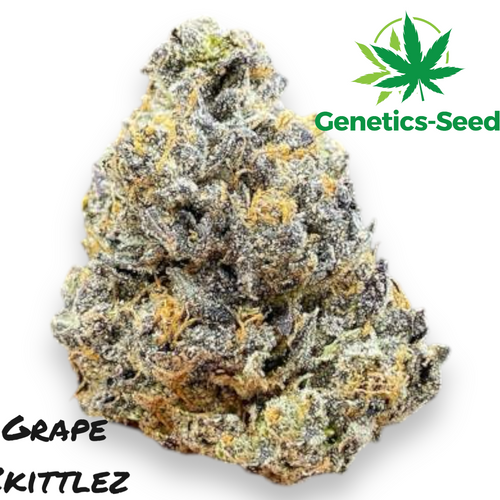 Grape Zkittlez