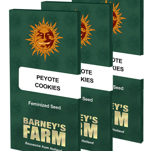 Peyote Cookies