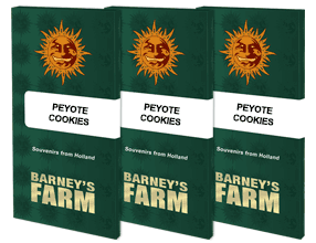 Peyote Cookies