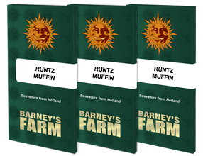 Runtz Muffin