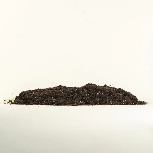 Bio-Grow-Anzuchterde 65L