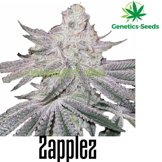 Zapplez